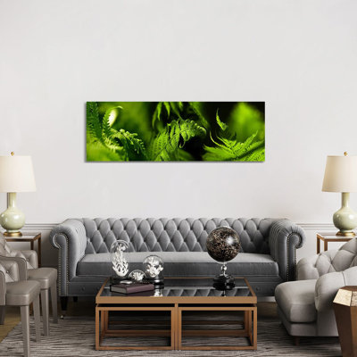 Fern - Wrapped Canvas Panoramic Print