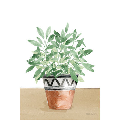 Herb Garden V White by Beth Grove - Wrapped Canvas Painting
