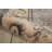 Oriental Indoor Rug-25931721