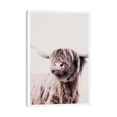 Highland Cattle Frida Creme 1 Piece Wall Art on Canvas