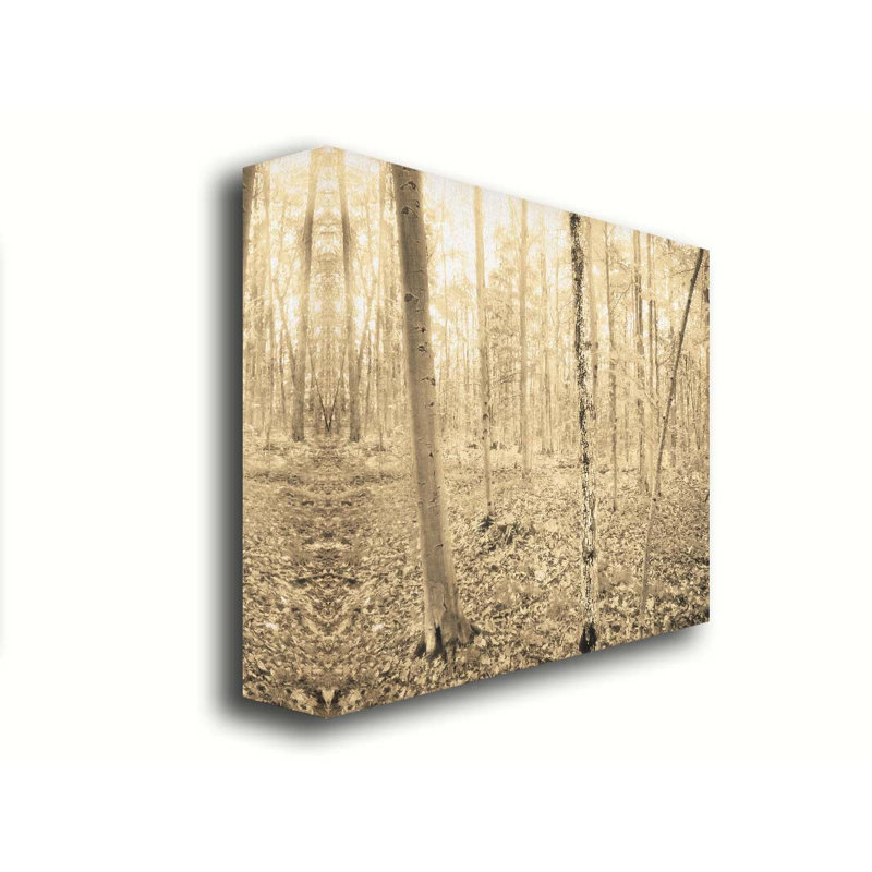 «Early Autumn Forest» par Hal Halli. Toile giclée sur toile tendue avec cadre flottant, H 30 po x l 40 po, Toile tendue