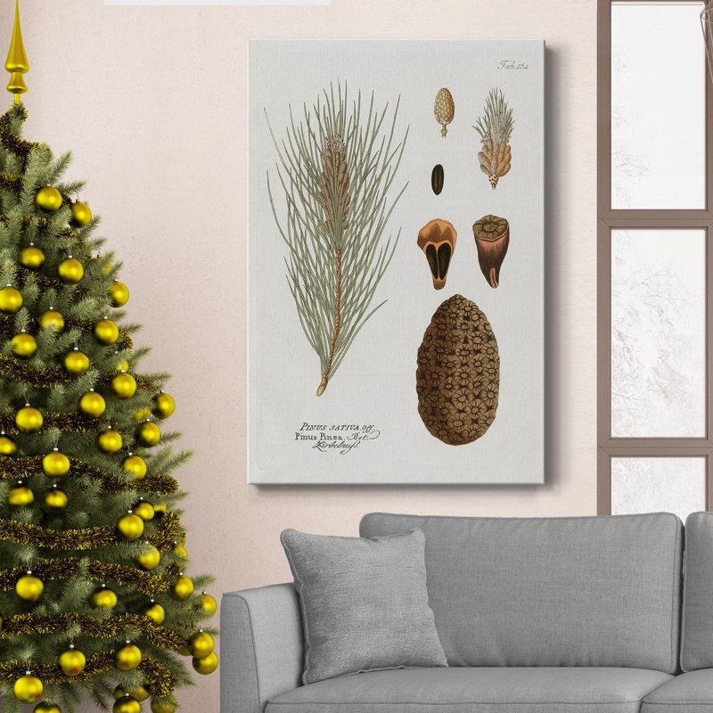 Toile tendue avec châssis Botanical Pine, H 60 po x l 40 po x P 1 po