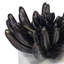 Succulent Sculpture 2 (Blackened Zinc)