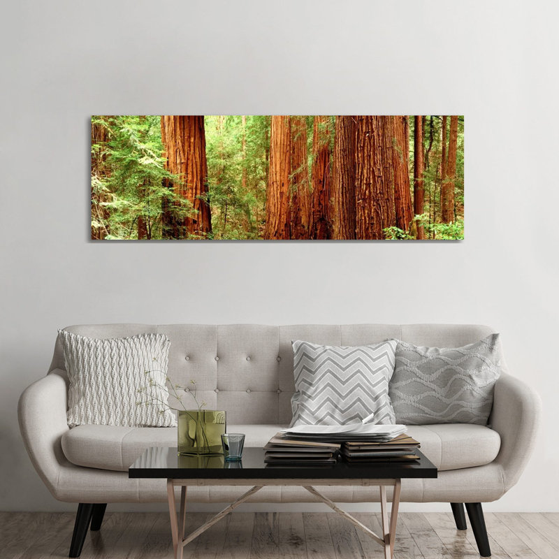 Redwoods Muir Woods CA USA - Wrapped Canvas Panoramic Print, 182.88 cm H x 60.96 cm W