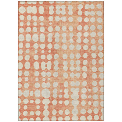 Zakye Indoor / Outdoor Rug
