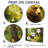 Bear In The Spring Forest I - Bear Wall Art-1747614765-1747614753-1747614777