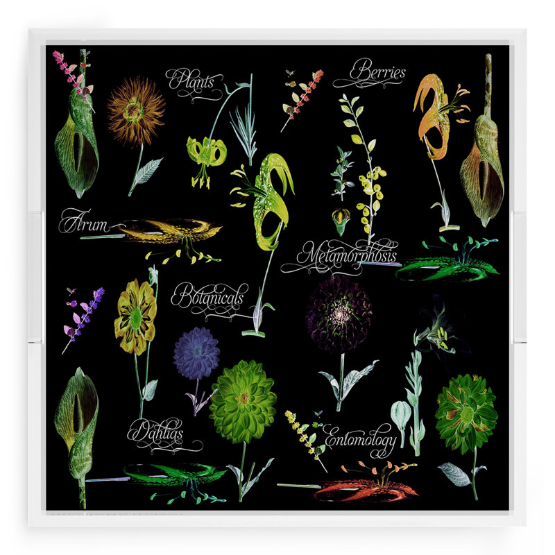 Botanicals Xray Acrylic Square Decorative Tray, 18"W x 18"D x 2"H, Green