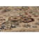 Cirro Wool Oriental Indoor Rug