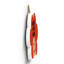 Gruia Wall Decor
