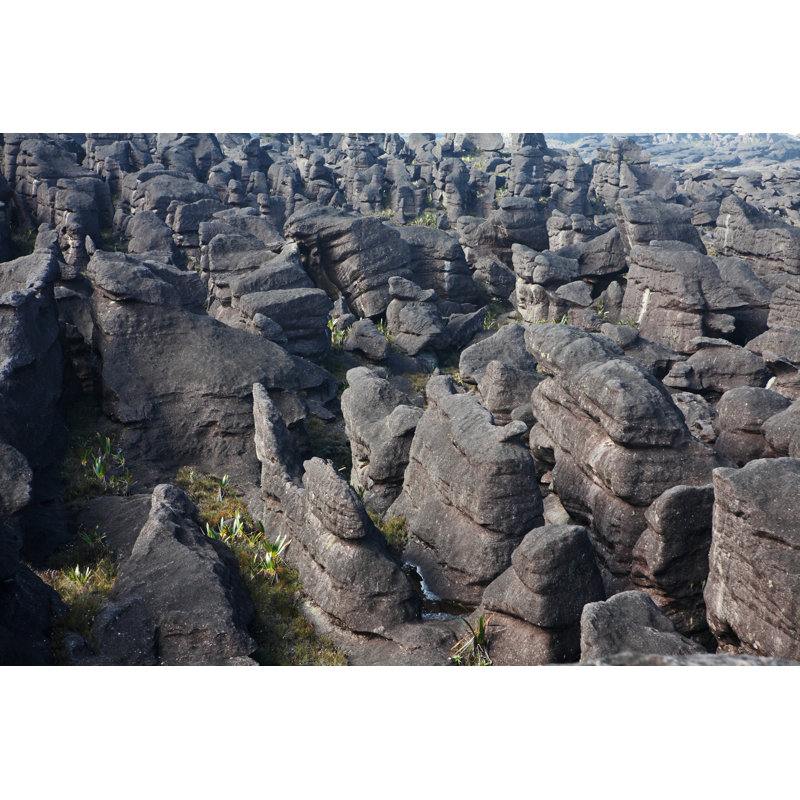 Rocky Landscape Of Mount Roraima by Zanskar - Wrapped Canvas Print, 30cm H x 46cm W