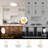 20inch LED Flush Mount Ceiling Light