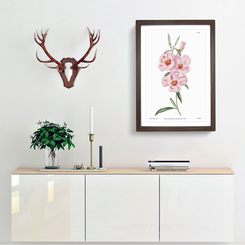 Blooming Pink Hibiscus Flowers - Picture Frame Graphic Art Print, Walnut Framed, 65cm H x 48cm W x 2cm D