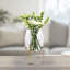 Aavyn Glass Table Vase