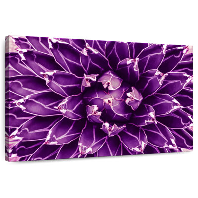 Harnek Purple Agave Cactus