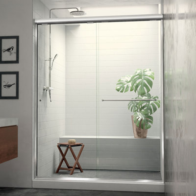 Ese 56" W x 62.5" H Semi-Frameless Shower Door