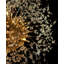 12 - Light Crystal Dimmable Sputnik Sphere Chandelier