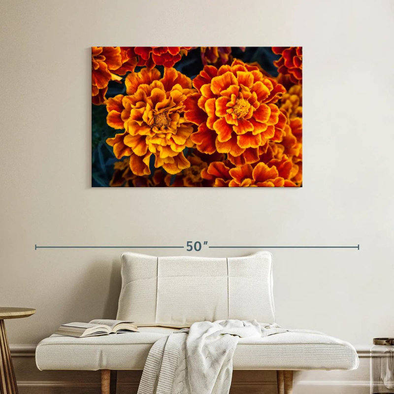 Fleurs de souci Harnek, H 26 po x l 39 po