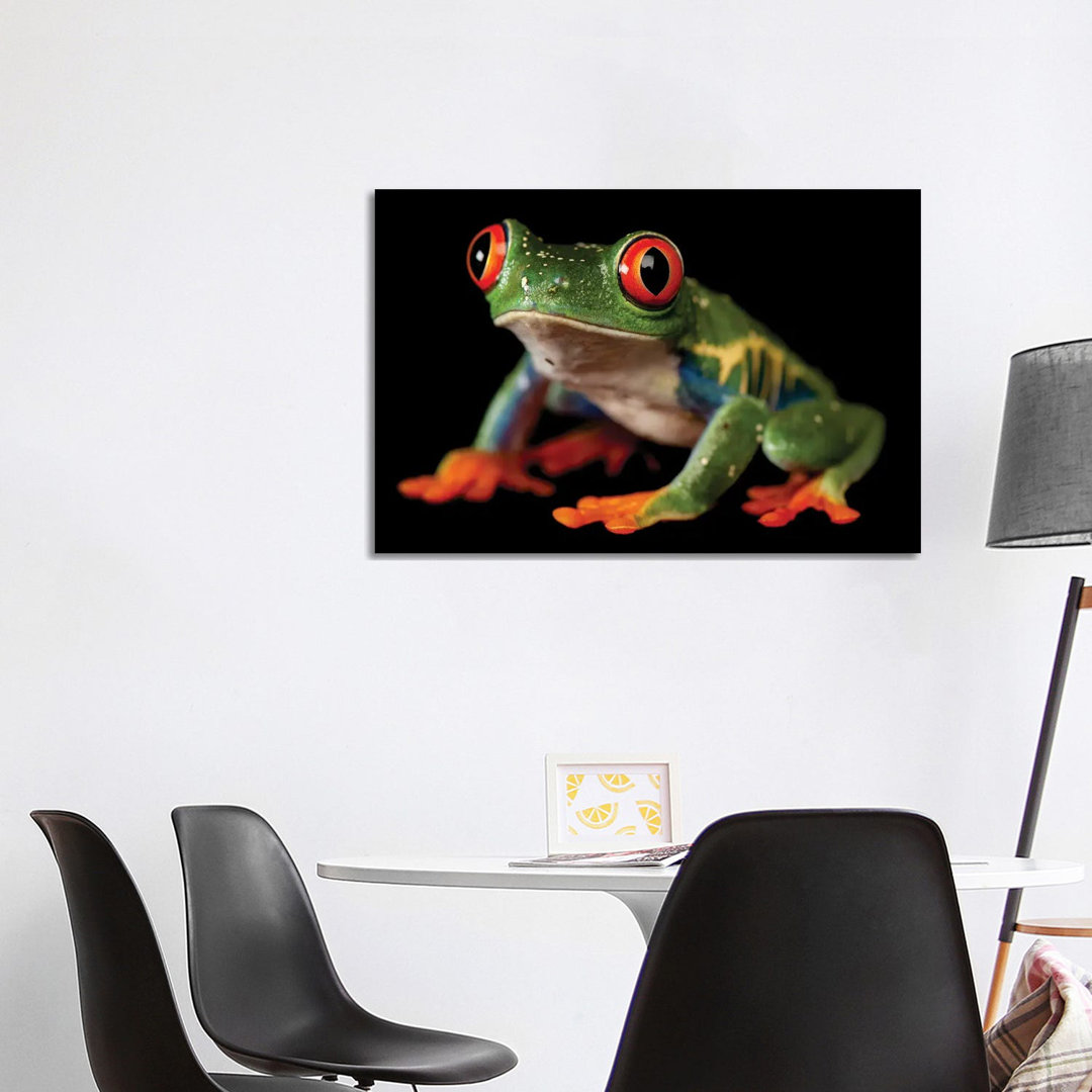 A Red-Eyed Tree Frog At The Sunset Zoo In Manhattan, KS. von Joel Sartore - Gallery-Wrapped Canvas Giclée on Canvas