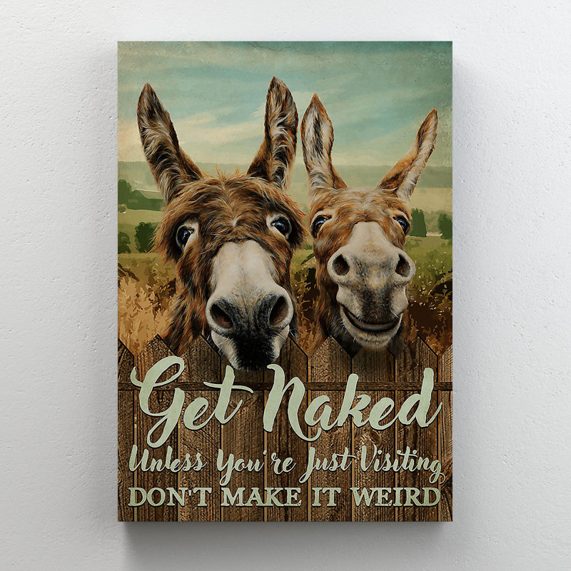 Two Donkeys Smiling - Get Naked - 1 Piece Rectangle Graphic Art Print On Wrapped Canvas, 20" H x 16" W x 2" D