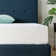 Wayfair Sleep 8" Plush Cooling Gel Memory Foam Mattress