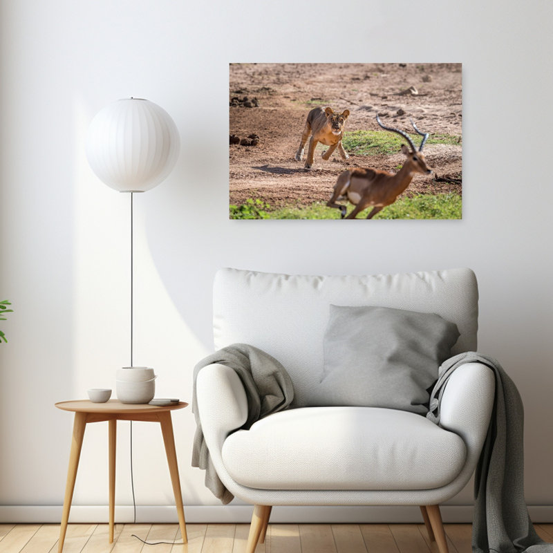 Lioness Impala Chase Contemporary Cat Lion Animal Landscape Wall Art Print by Jeffrey C. Sink - 1 Piece Wrapped Canvas Wall Art