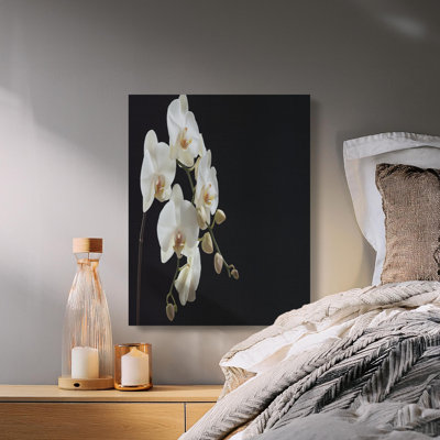 Wrapped Canvas Print Set