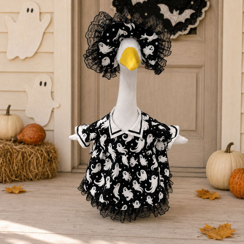 Décorations d'Halloween : Robe fantôme noire en dentelle, ensemble de costumes d'oies pour porche