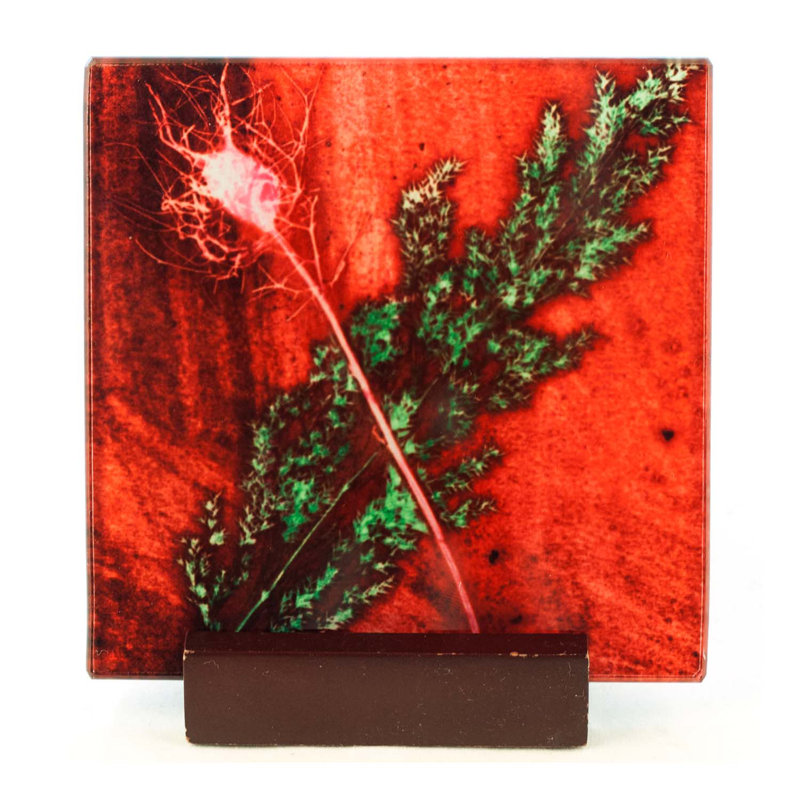Glass Square 1 Piece Coaster, Festive