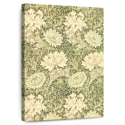 Chrysanthème Kerner 1877