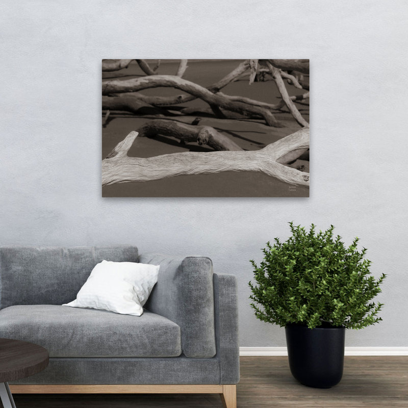 Georgia Driftwood II, bord de mer, noir, noir et blanc, gris, plage, noir, H 48 po x l 32 po