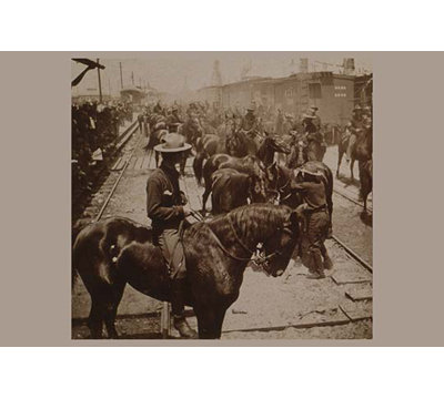 Roosevelt - Unframed Photograph