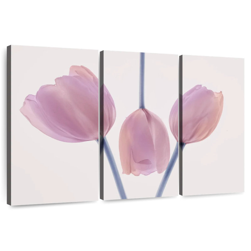 Trio de tulipes Harnek, H 32 po x l 50 po