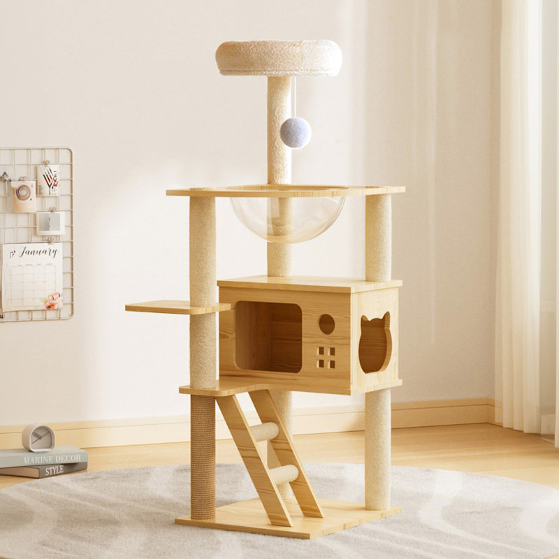 Arbre à chat de 48,8 po avec poteaux à griffes, acrylique et perchoir supérieur pour petits chats d'intérieur, construction élégante, tour moderne, confort idéal