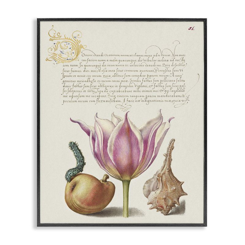 «Flower & Bug Study», estampe numérique par June Erica Vess, Giclée encadrée noir minuit, H 14 po x l 11 po