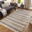 Petra Striped Area Rug-1924732597