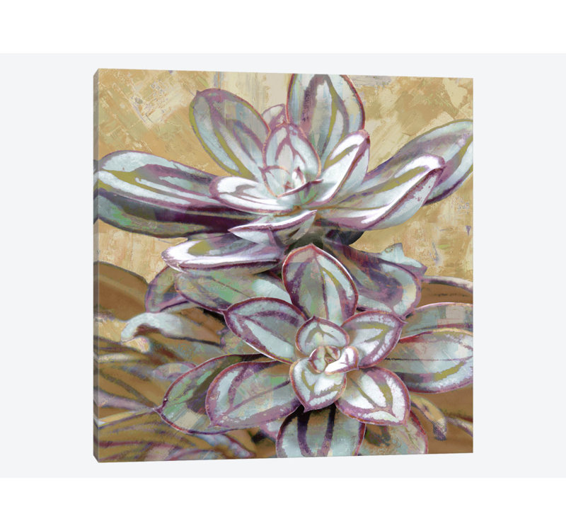 « succulent iv », impression sur toile, H 18 po x l 18 po x P 1,5 po, Pas de tapis, Toile tendue