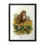 Vie d'oiseau rétro - peinture sur toile-59815737-59815740