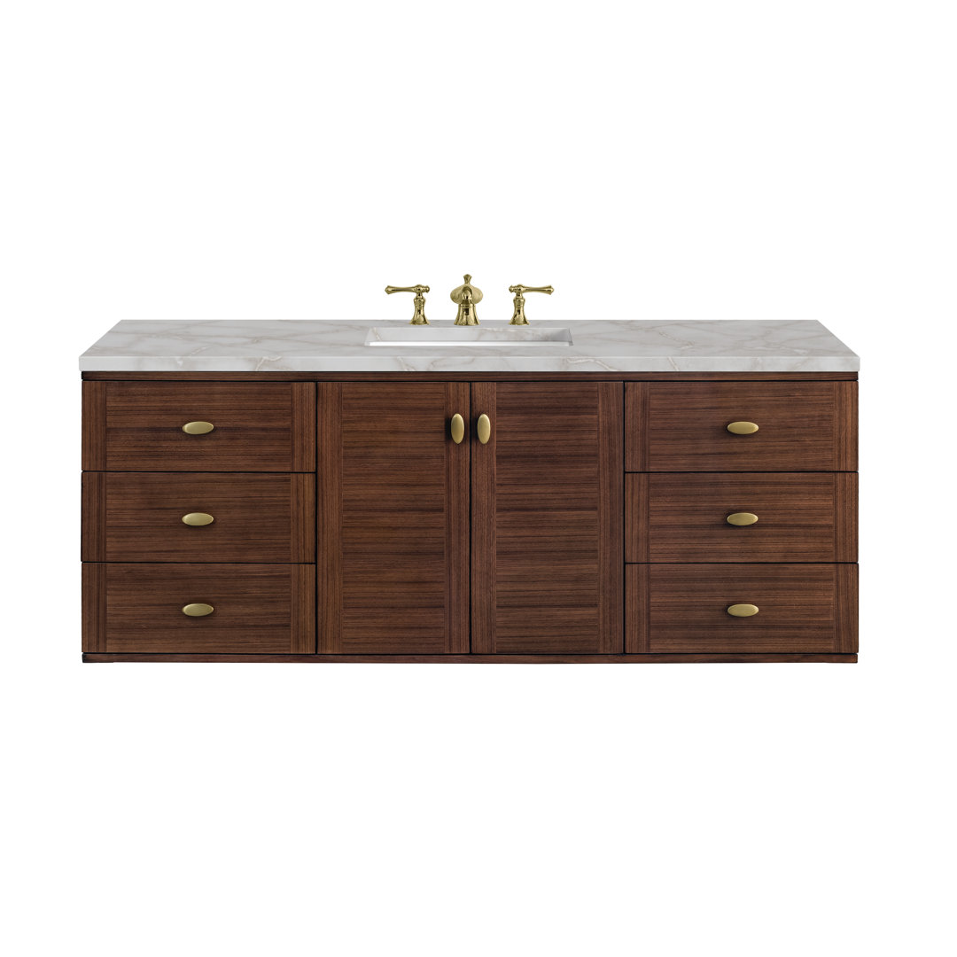 Aliza 60" Single Bathroom Vanity Set Birch Lane™ Top 