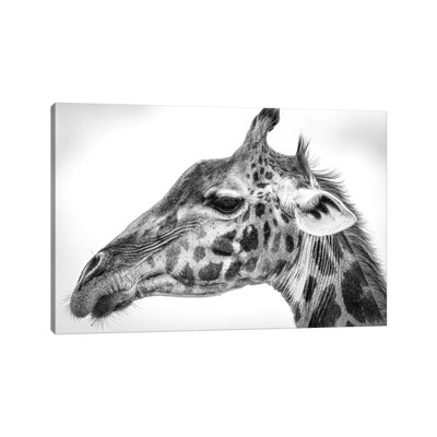 Maasai Giraffe by Jeffrey C. Sink - Wrapped Canvas Print