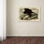 « whiteheaded eagleplate 31 », reproduction sur toile tendue-190821157