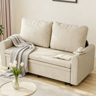 68.89''Small Loveseat Pull-Out Sofa Bed