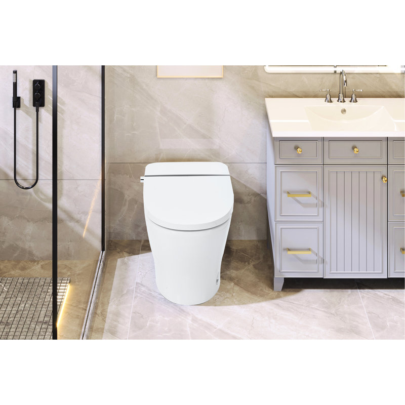 Upmarket Dual Flush Toilet - Heated Seat, Foot Sensor Flush, Night , Knob Control, Smooth Glaze Seat Adjustable Temp, Infrared Sensor, Led Compact Model