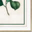 Flora I Giclee Print