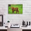«Scottish Highland Cattle X» par Alan Majchrowicz, estampe numérique sur toile-79064032