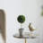 Set of 3 Mini Topiaries in Decorative Pots