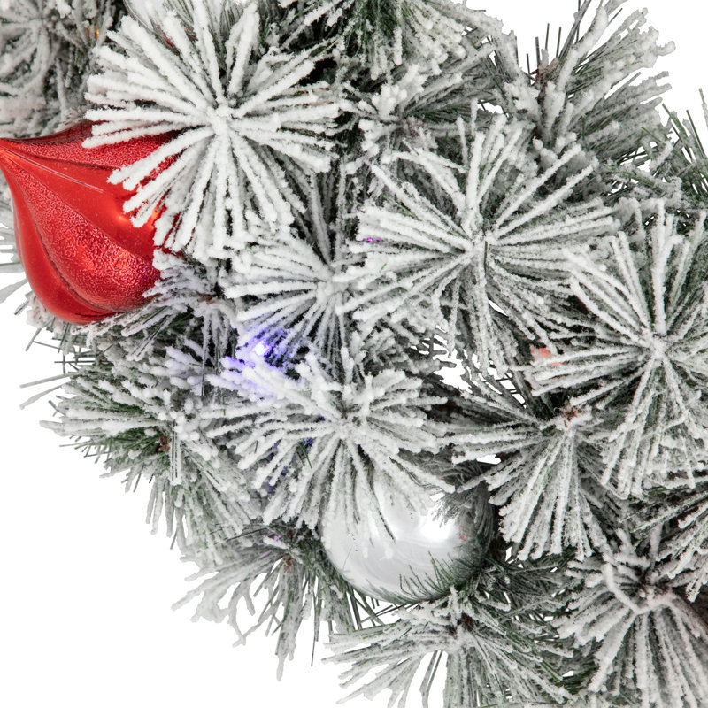Couronne enneigée de chlorure de polyvinyle (PVC) Snowy Bristle 24 po