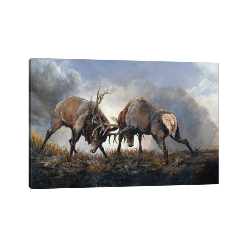 Fight Club by Jan Perley - Wrapped Canvas Gallery-Wrapped Canvas Giclée, 20.32 cm H x 30.48 cm W