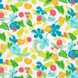 Baja Fabric
