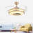 Anniah Ceiling Fan with LED Lights