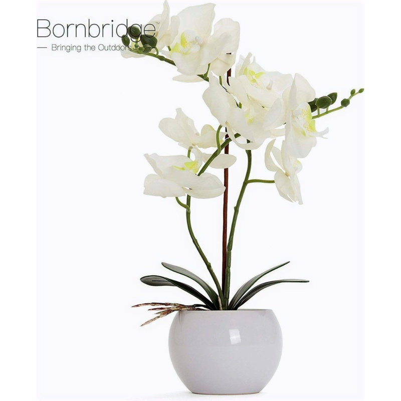 Orchidée artificielle dans un vase, Blanc